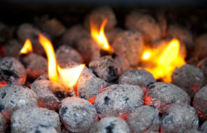 Хөндүүр сэдэв: Өрхөө битүүлсэн гэх үгээр ам таглах уу?